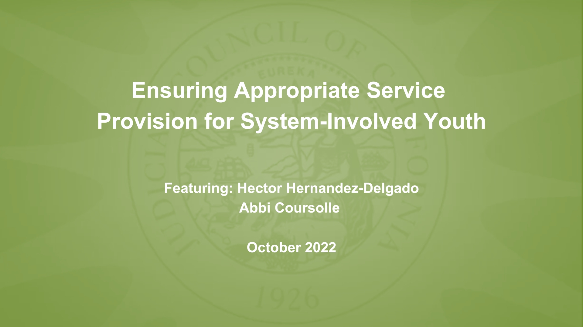 Ensuring Appropriate Service Provision for System-Involved Youth