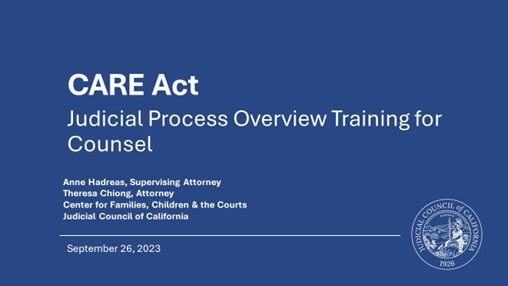 Judicial Process Overview Training for Counsel
